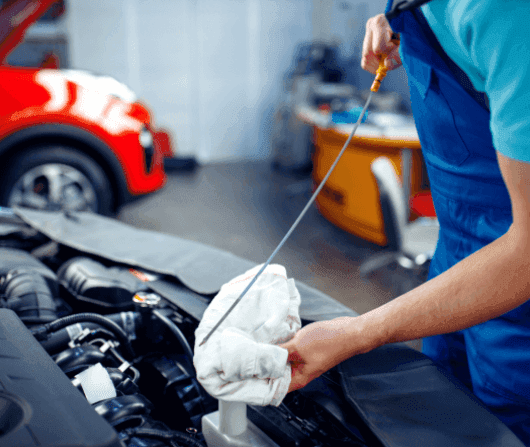 Check and Top-Up Fluids